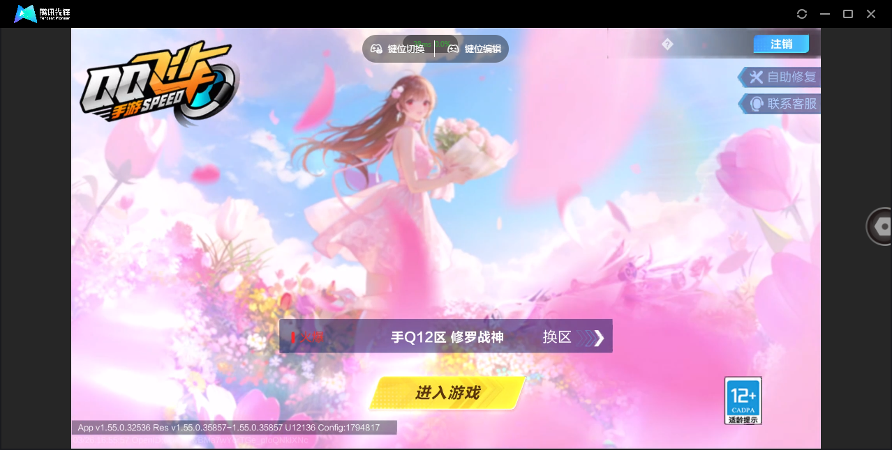 FCSZJY41596QQ飞车手游账号详情图16