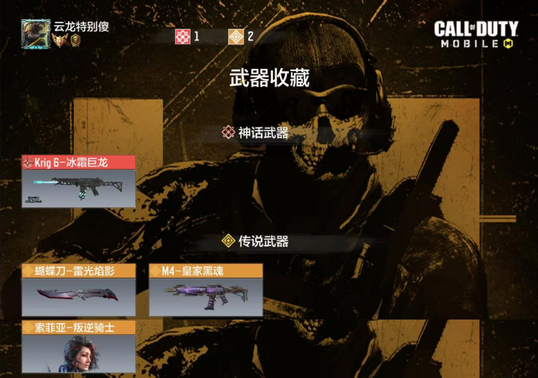 SMCMW43500使命召唤手游账号详情图1