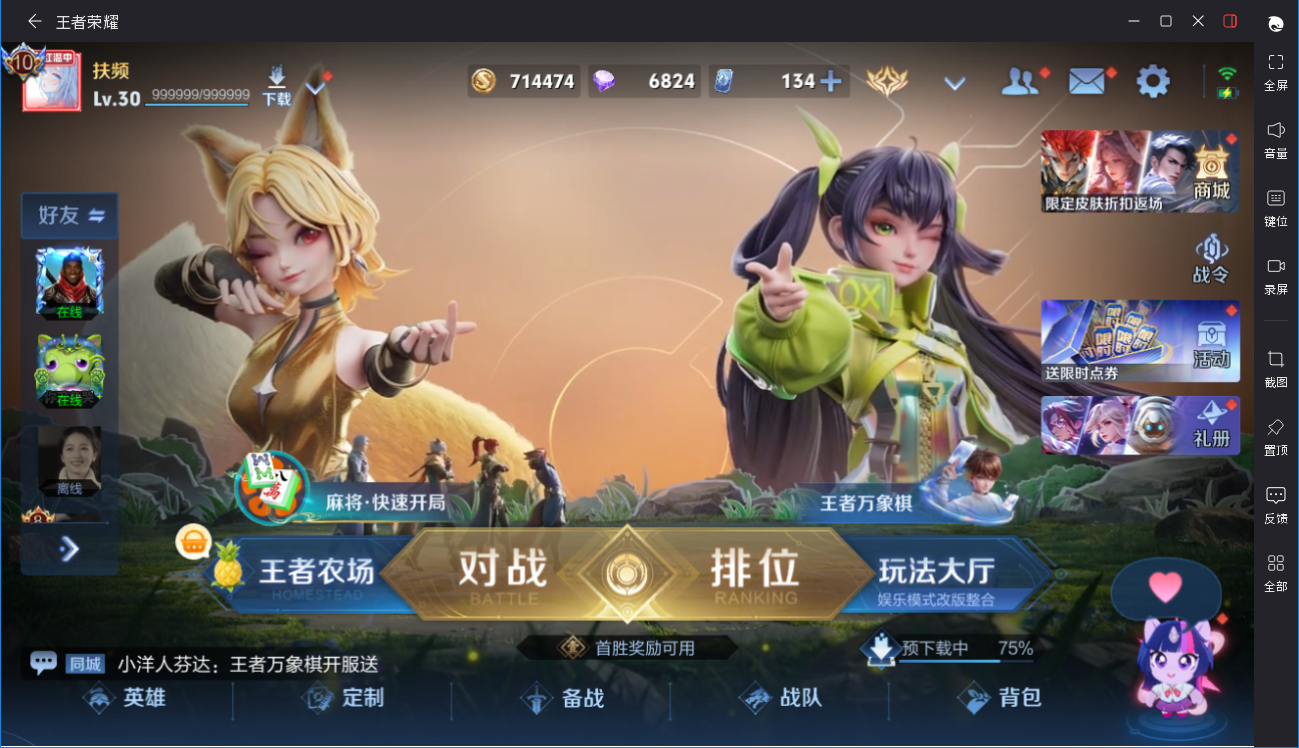 大图