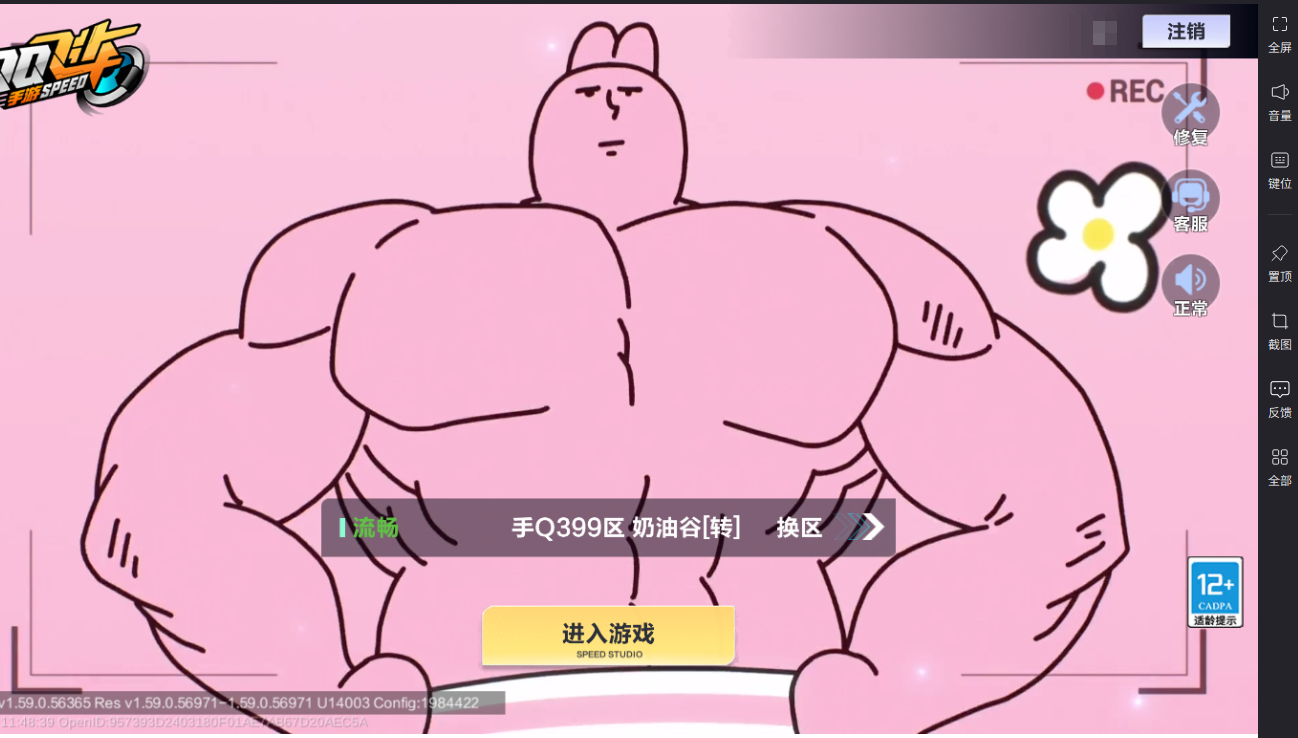 FCSLC43799QQ飞车手游账号详情图2
