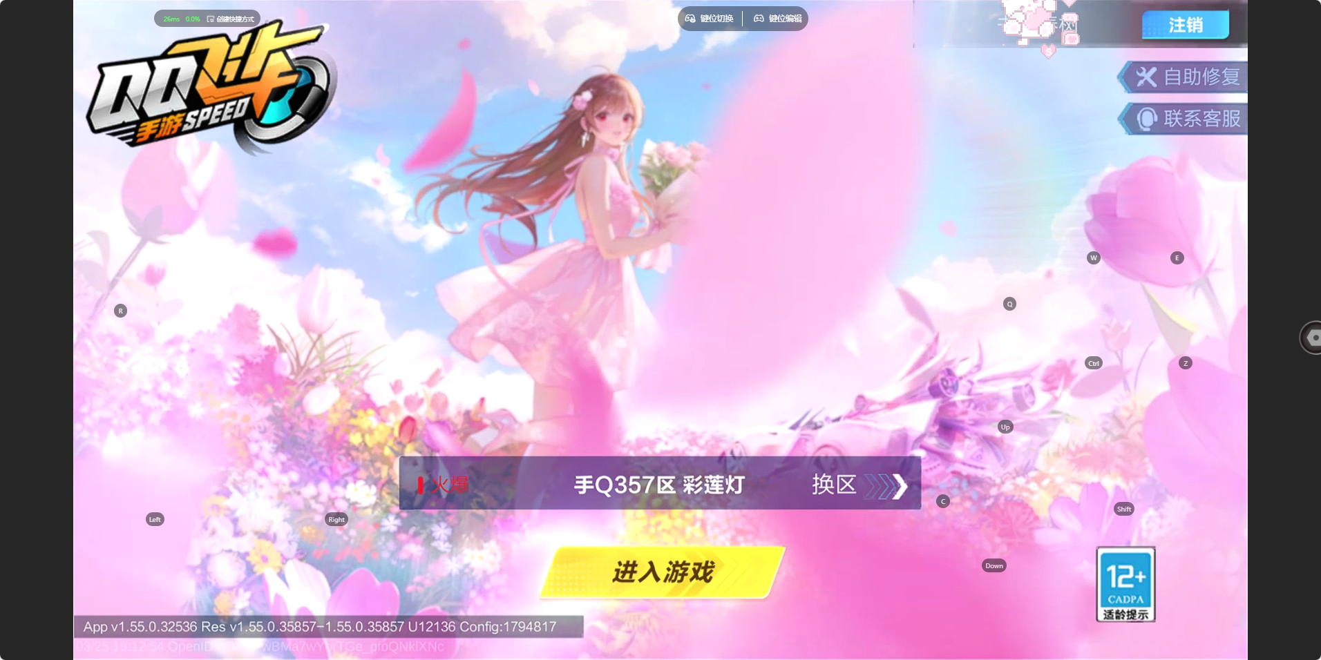 FCSZJY41691QQ飞车手游账号详情图21 FCSZJY41691QQ飞车手游账号详情图21